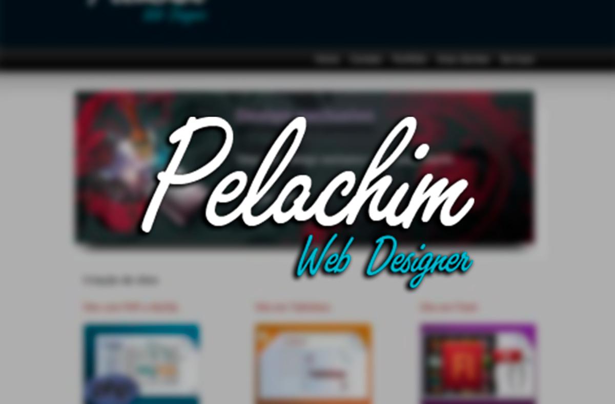 2º Portfolio Pelachim Design